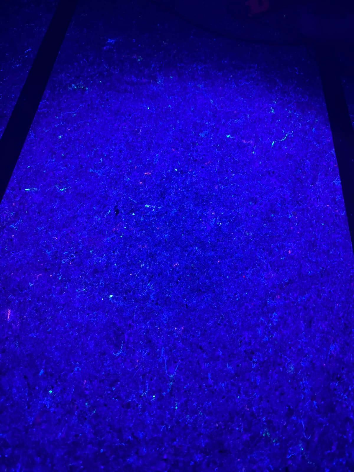 Der Schwarzlicht-Raum bei ColorCotti leuchtet in kräftigem Blau
